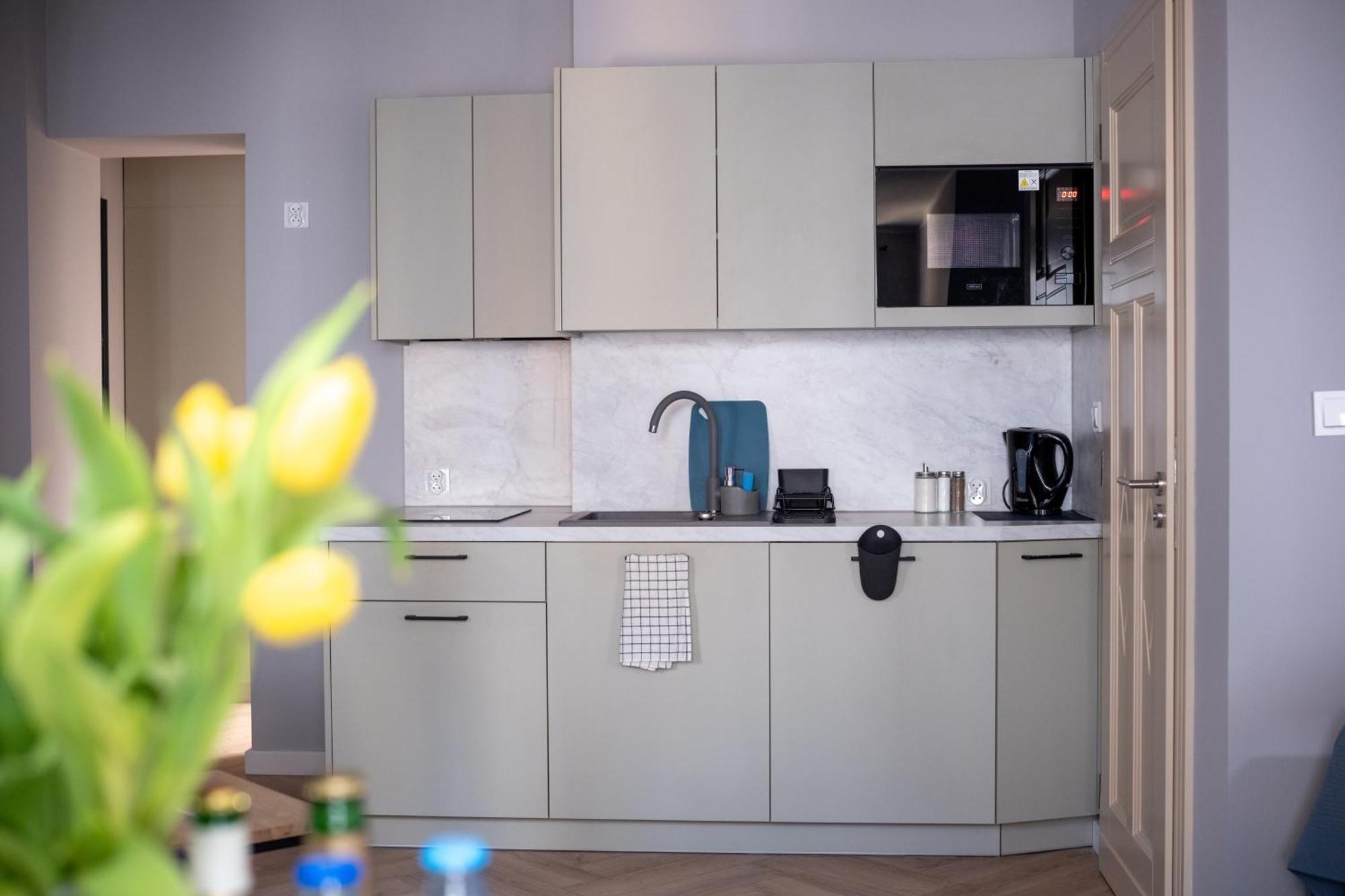 Apartamenty Drevny Kocur ポズナン エクステリア 写真