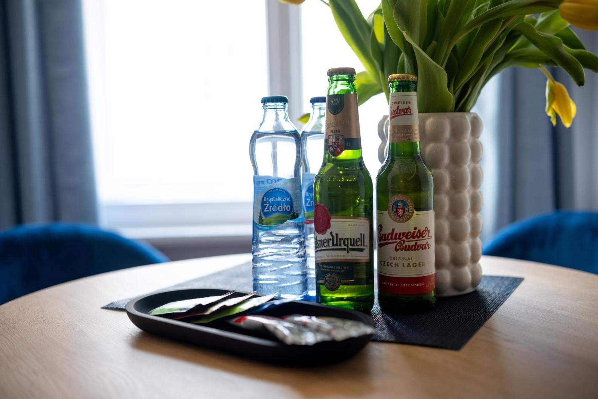 Apartamenty Drevny Kocur ポズナン エクステリア 写真