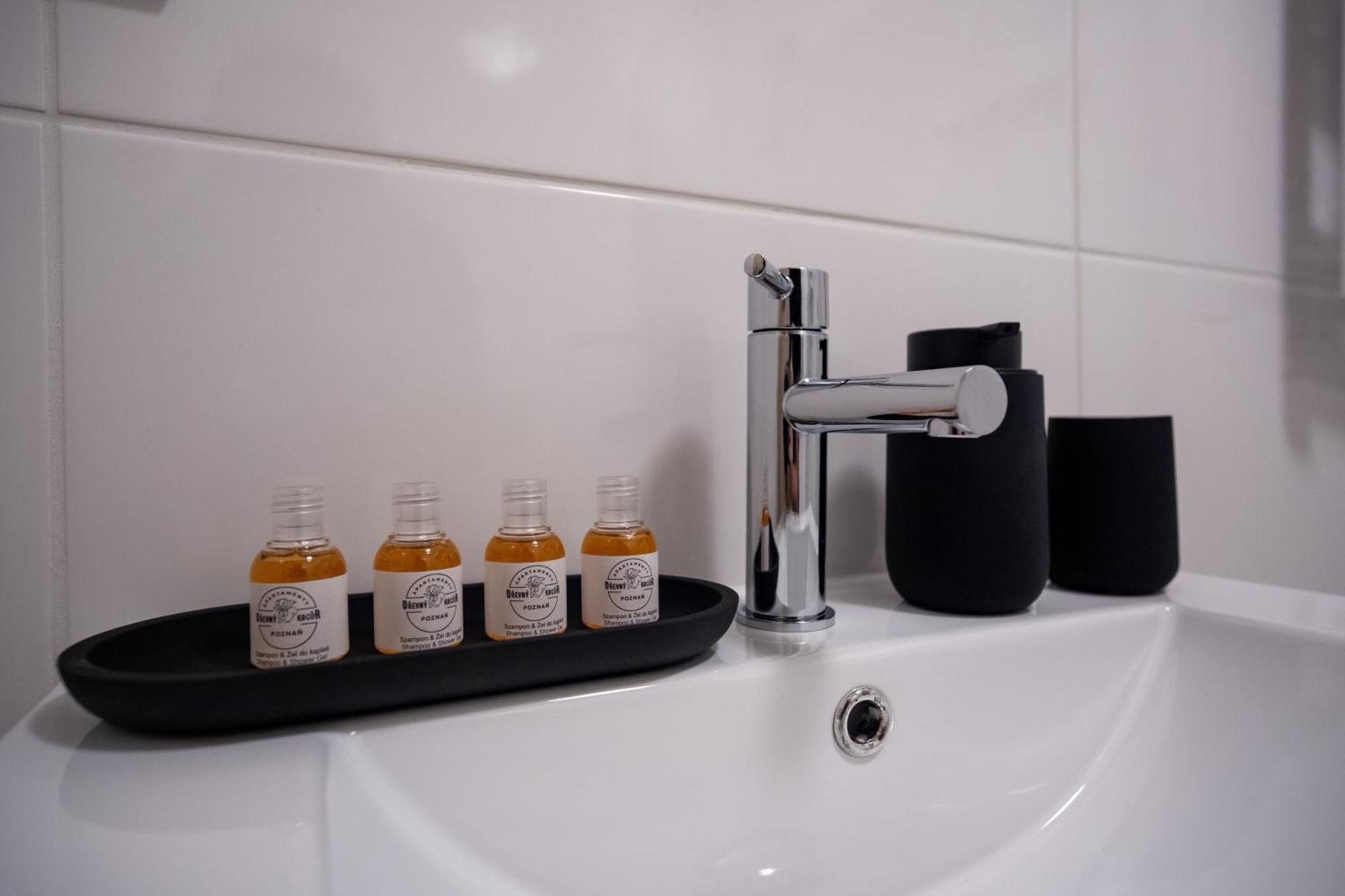 Apartamenty Drevny Kocur ポズナン エクステリア 写真